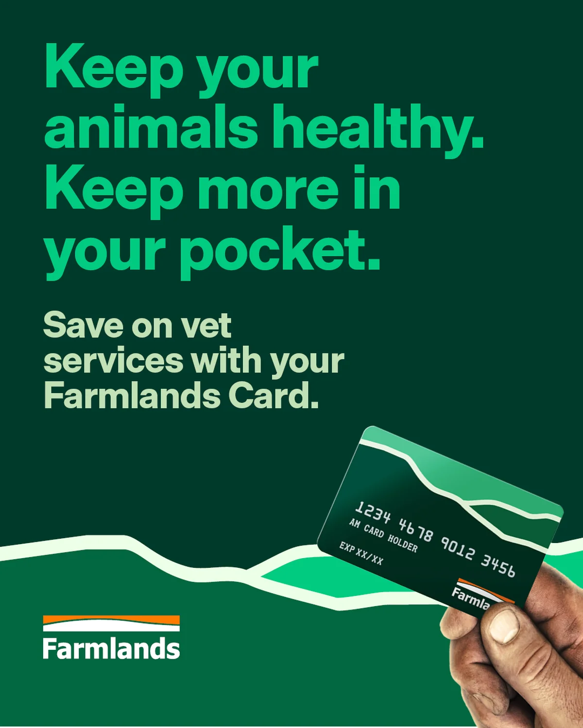 vet messaging
