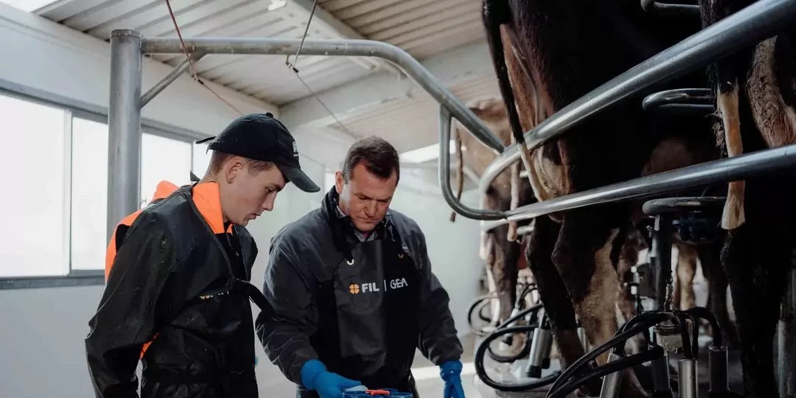 Choosing right teat spray