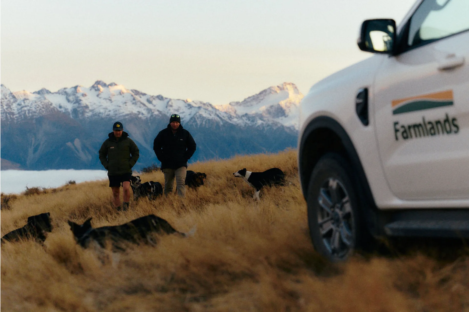Two people walking with dogs near a Farmlands vehicle
