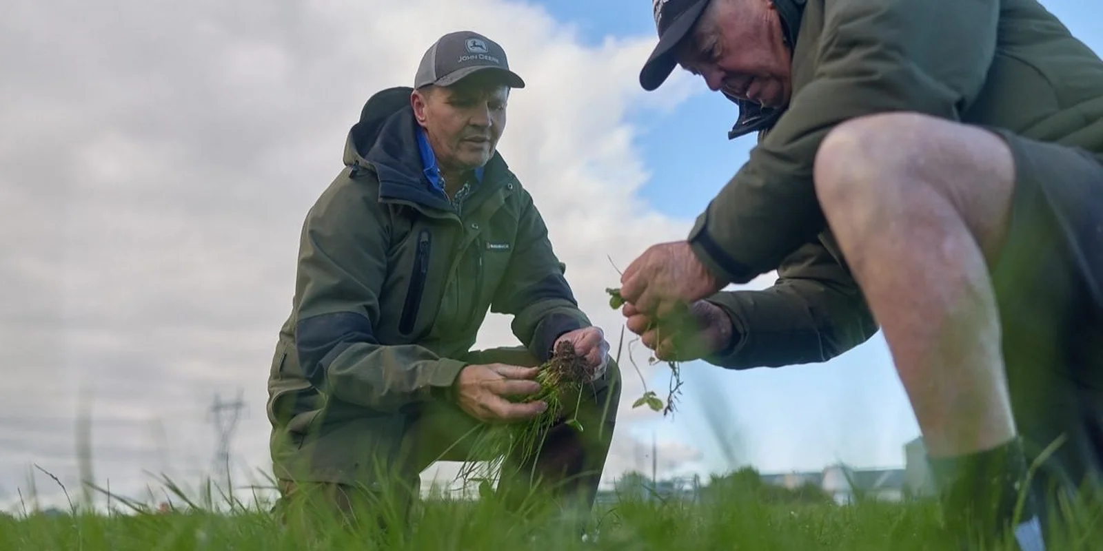 Agronomy: Two people in jackets examine plants in a grassy field under a cloudy sky, one kneeling and one squatting, focused on the greenery.