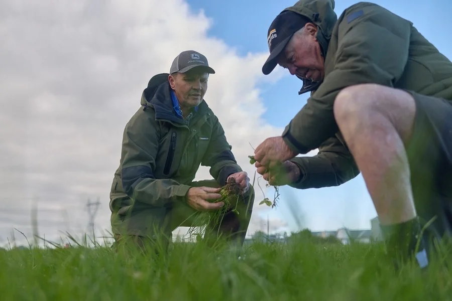 Agronomy: Two people in jackets examine plants in a grassy field under a cloudy sky, one kneeling and one squatting, focused on the greenery.