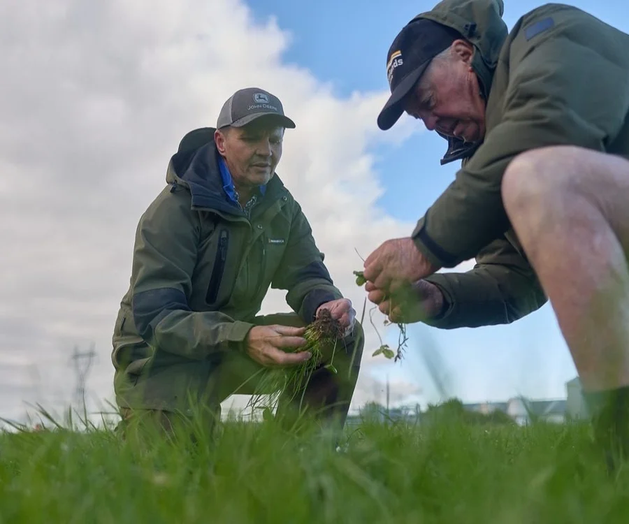 Agronomy: Two people in jackets examine plants in a grassy field under a cloudy sky, one kneeling and one squatting, focused on the greenery.