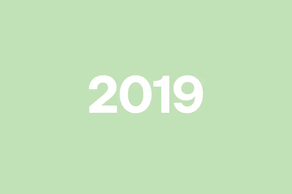 White "2019" text centered on a light green background