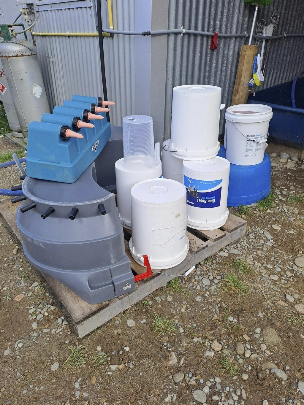 Stacked farming equipment, including buckets, a blue feeder, and measuring containers, on a wooden pallet beside a corrugated metal wall.