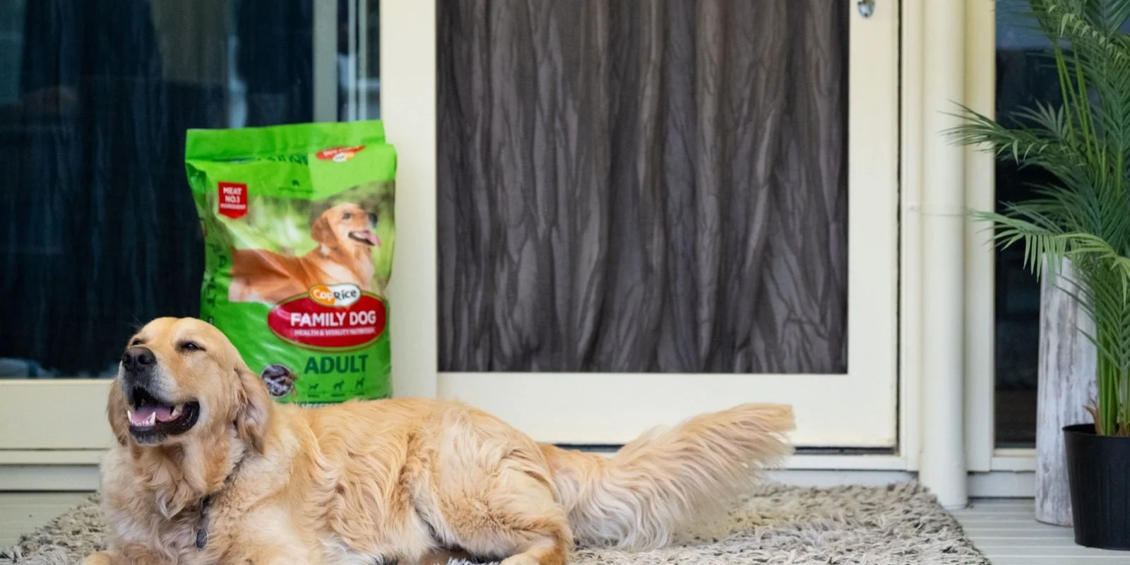 Premium dog food performance
