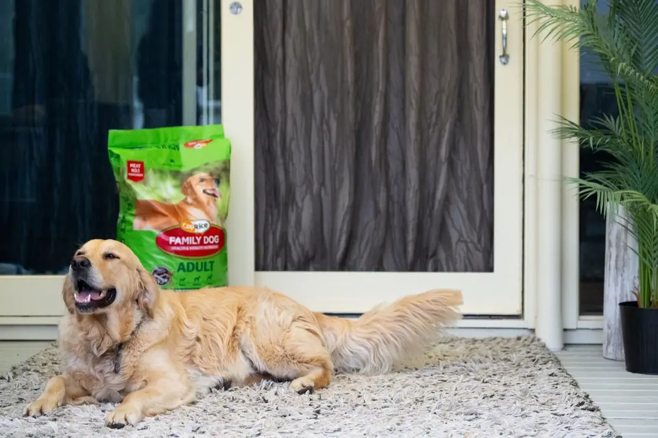 Premium dog food performance