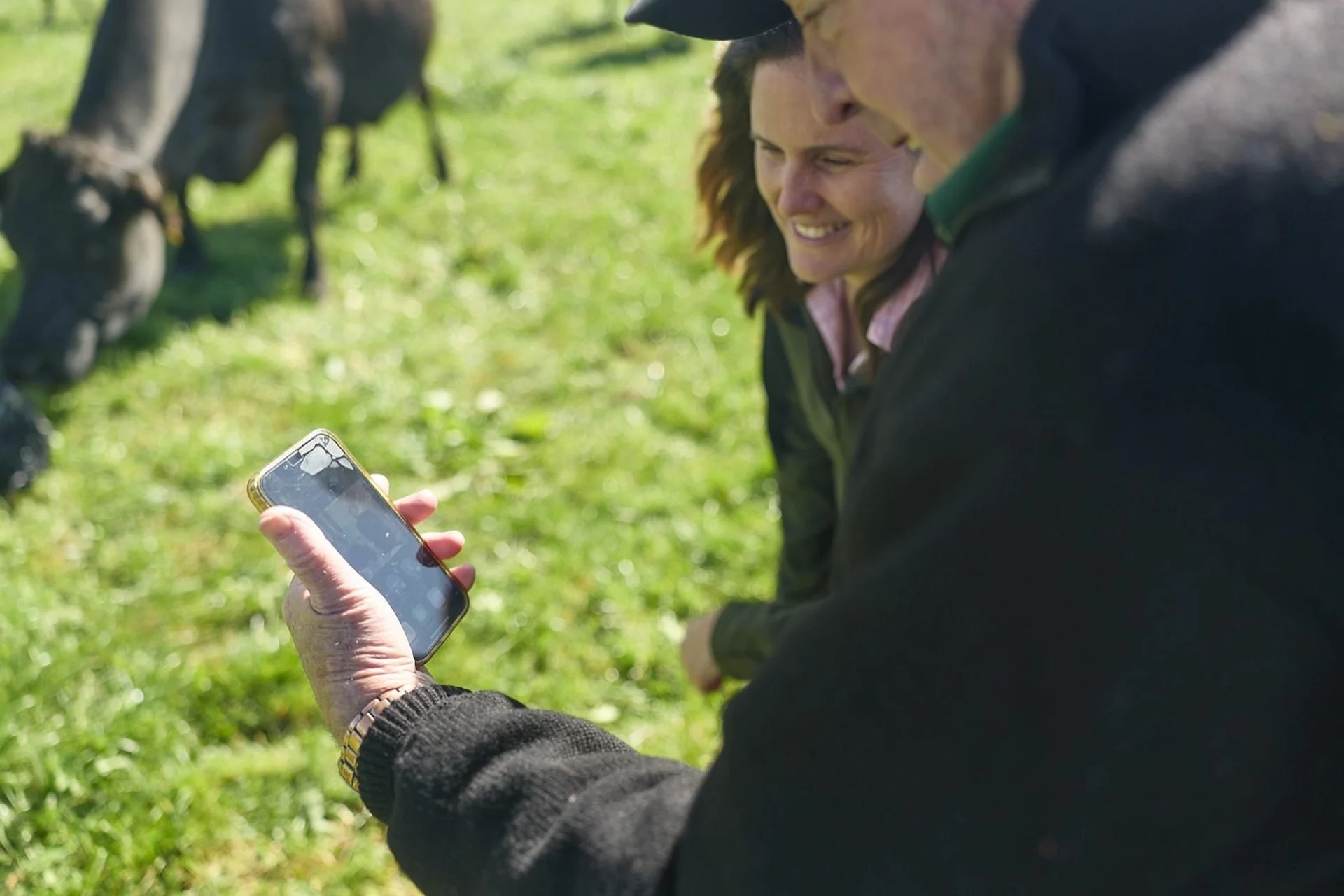 FarmlandsPRO in action: People on a farm, smiling and looking at a smartphone. A cow grazes in the background on green grass.