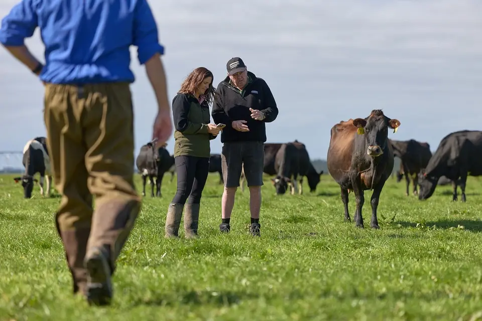 Become a Shareholder: Two people stand in a grassy field with cows, discussing and pointing at notes, while another person approaches from the foreground.