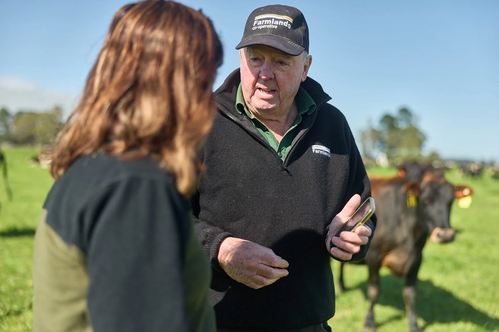 FarmlandsPRO in action: Two people talking in a sunny field with cows in the background. One person is wearing a cap and holding a phone.