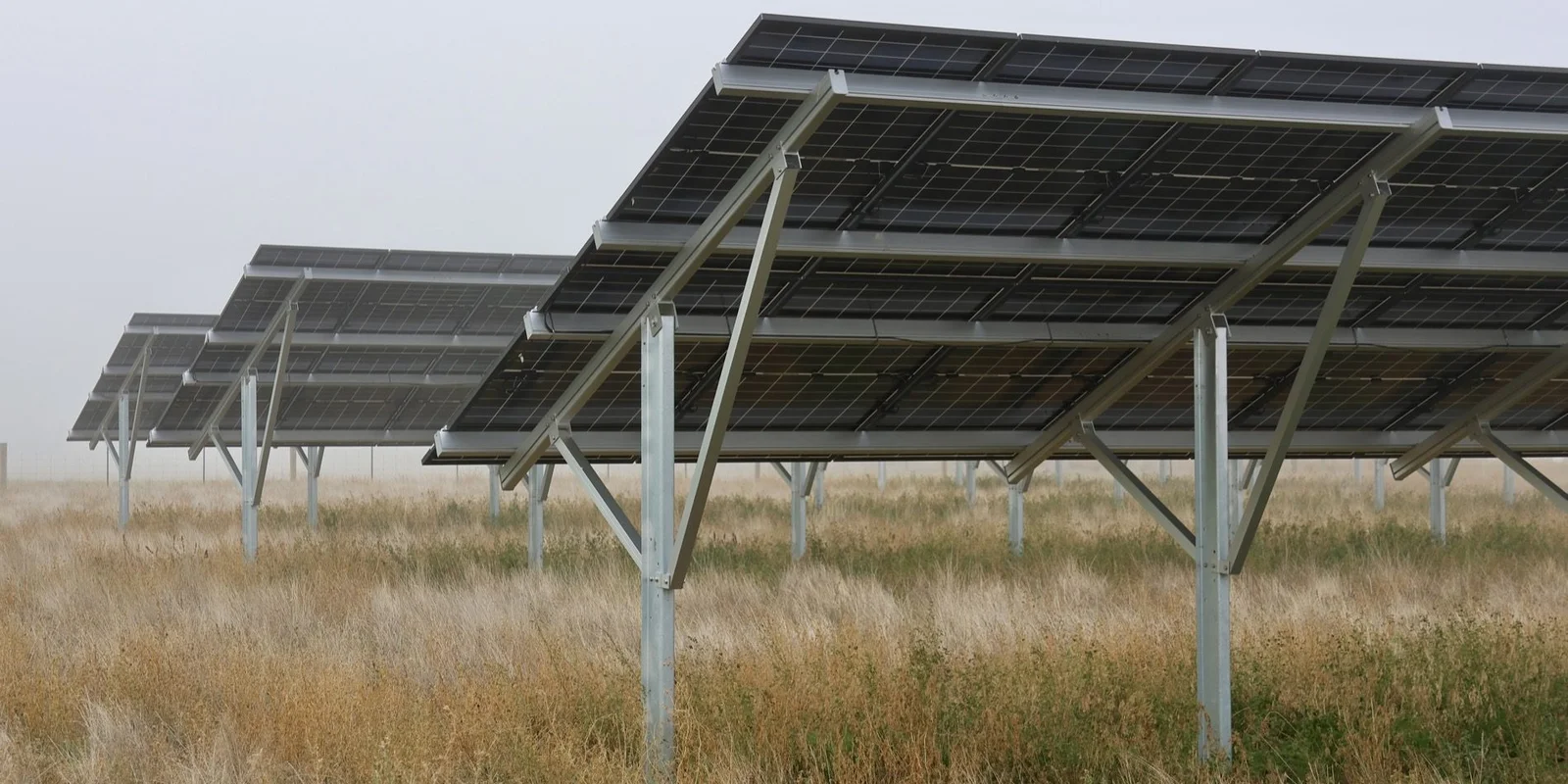 Knowledge and advice: Rows of solar panels on metal frames in a grassy field under a cloudy sky.
