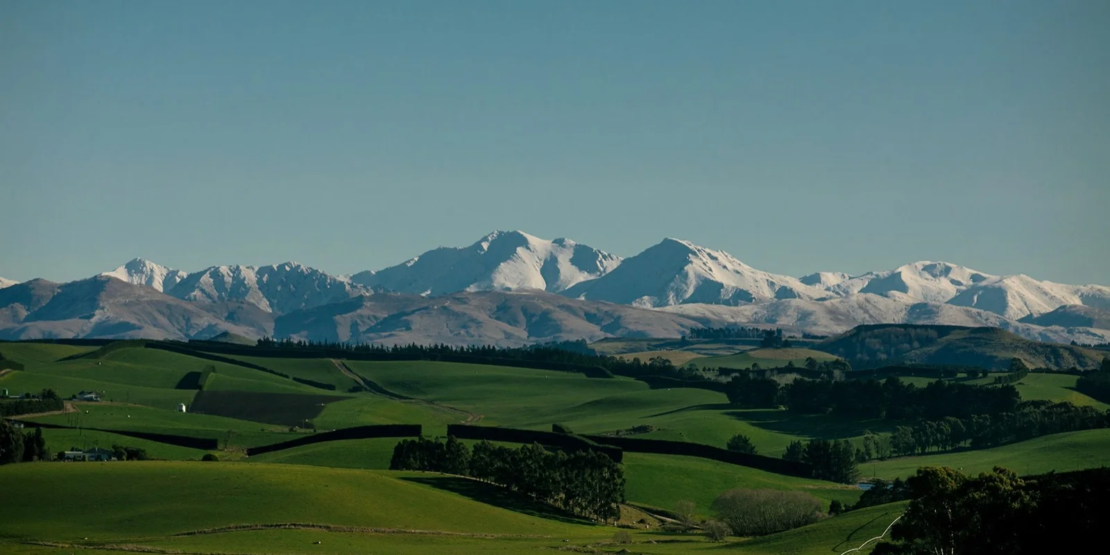 Green fields meeting snow-capped mountains