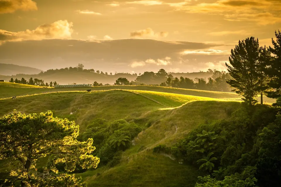 Sunlit rolling hills at dusk