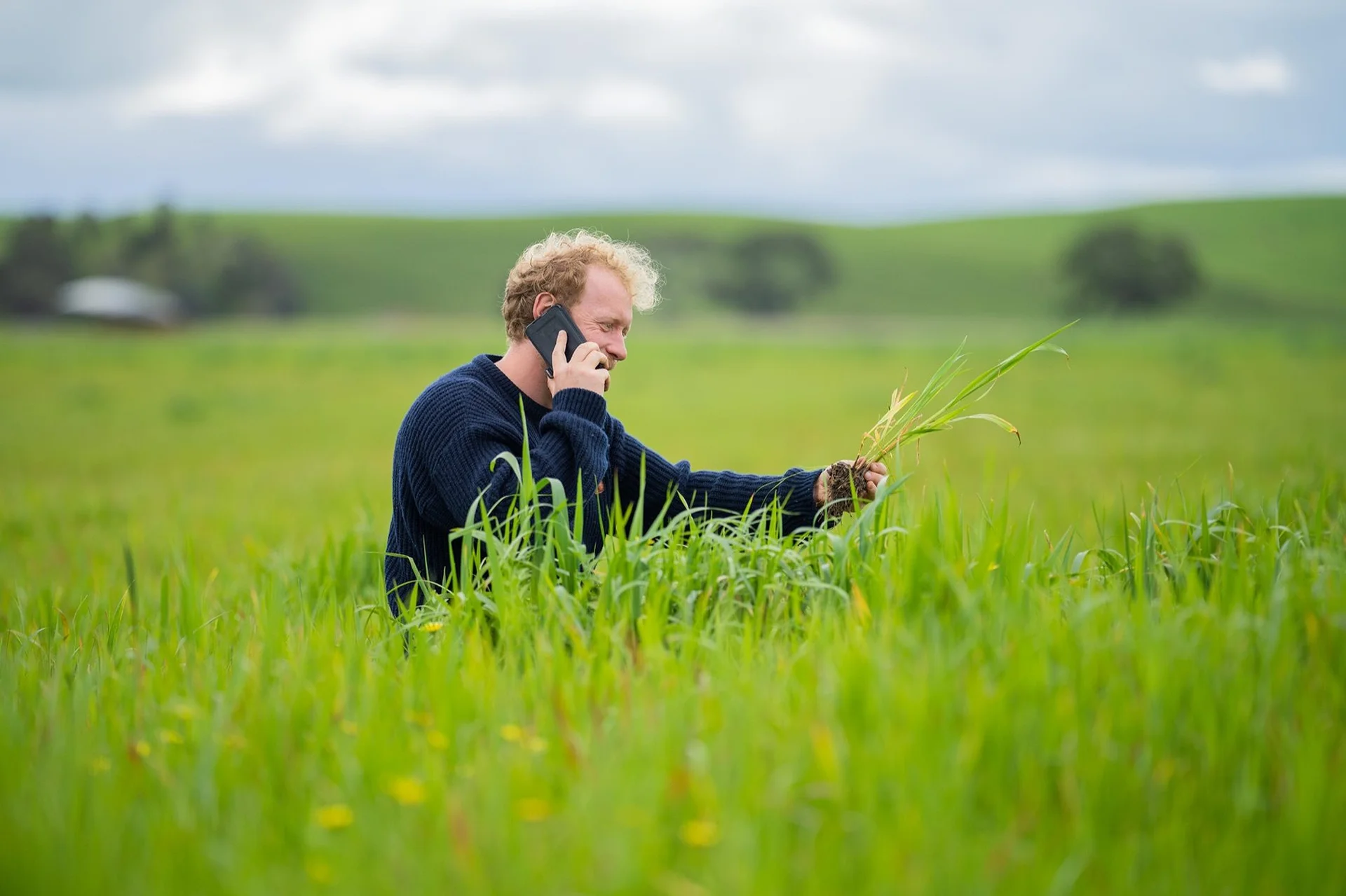 Man in a field examines crops while talking on a phone, surrounded by tall green grass under a cloudy sky.