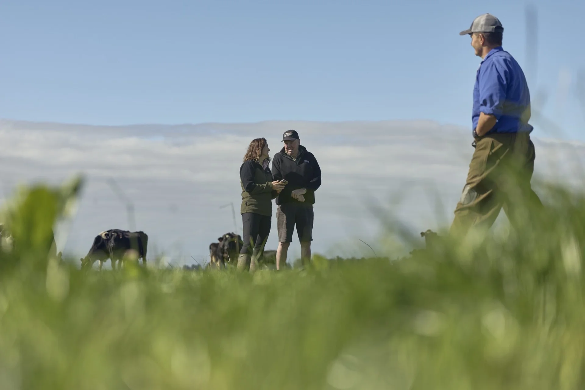 MyFarmlands account: Three people stand in a grassy field under a clear sky, with cows grazing nearby.