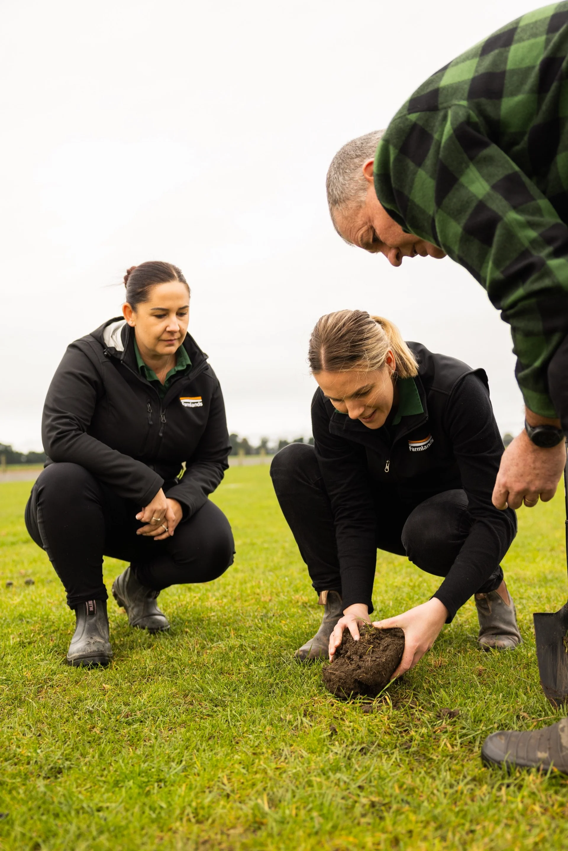 Agronomy: Three people examining soil in a NZ paddock