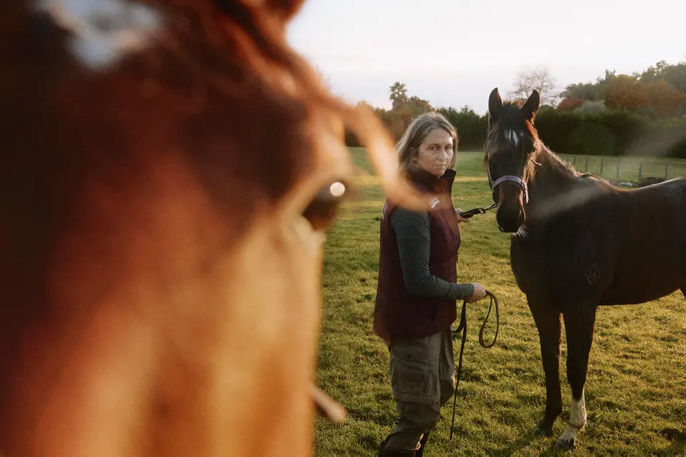 A person stands in a grassy field holding a dark horse's lead rope, with another horse's head partially visible in the foreground.