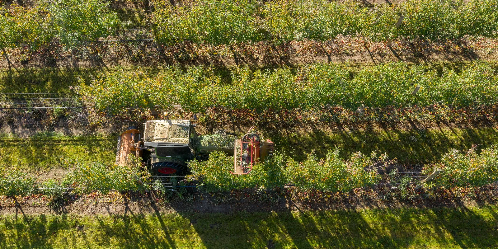 Farmlands shows strong progress in half-year results.