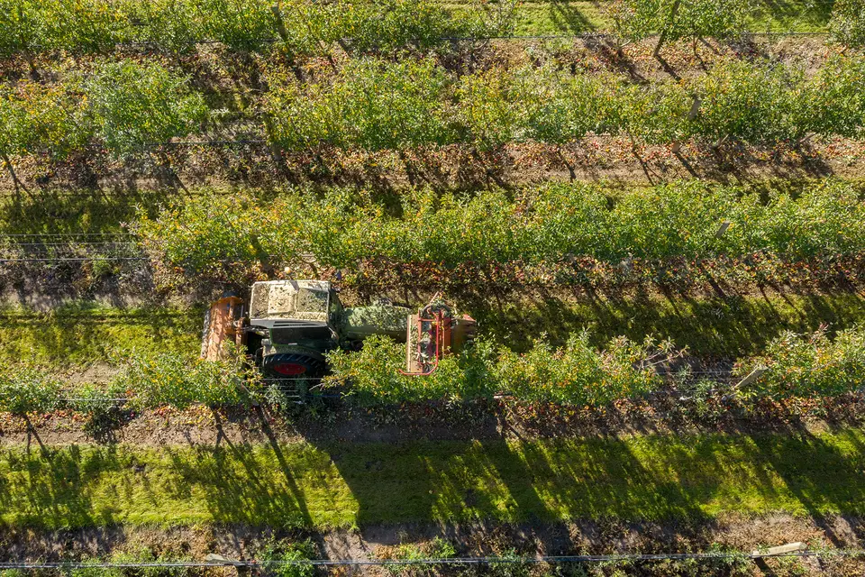 Farmlands shows strong progress in half-year results.