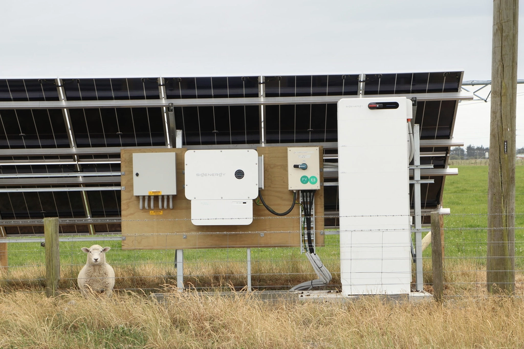 A sheep standing next to the solar batteries.
