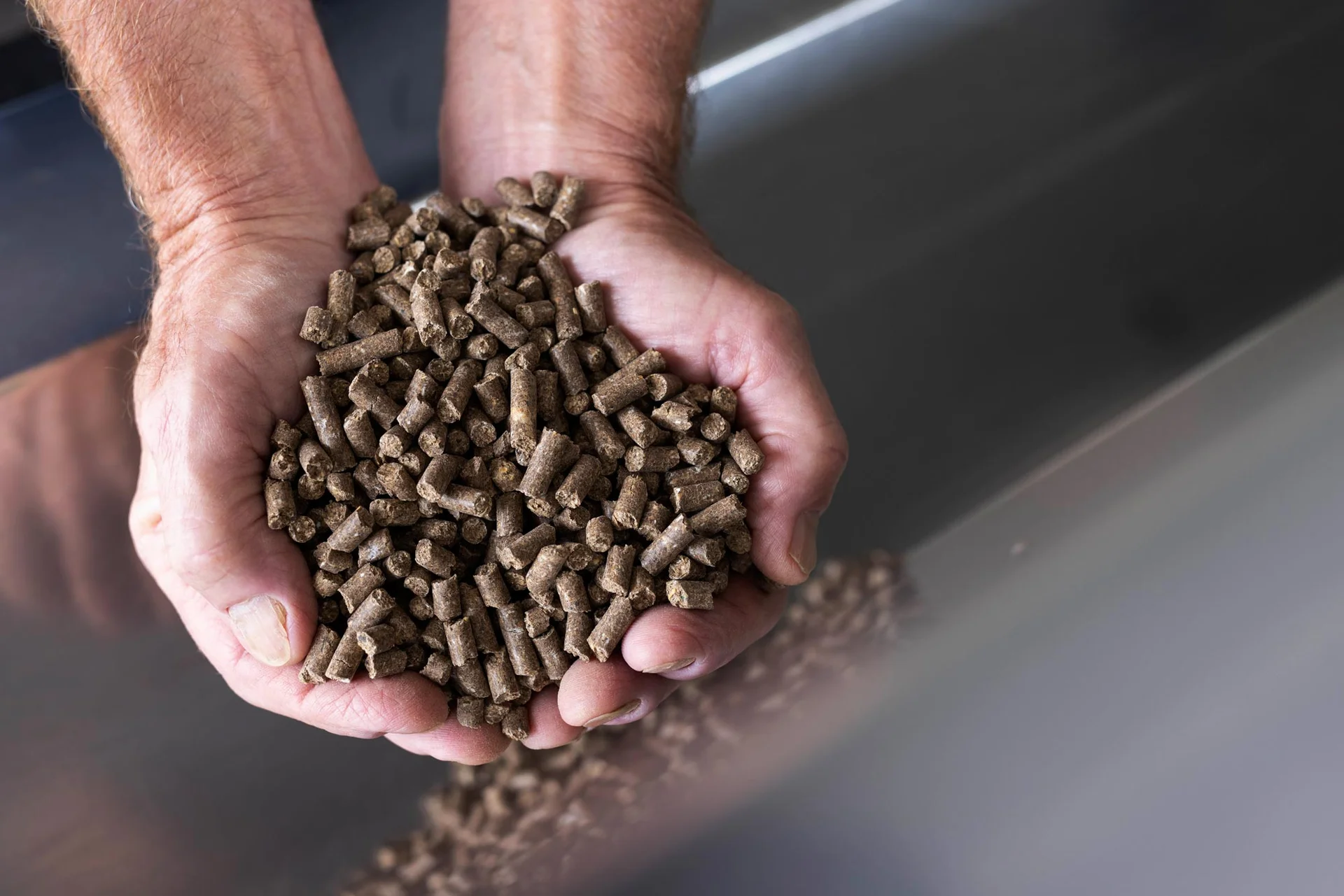 Hands holding a pile of small, cylindrical brown pellets over a metallic surface.