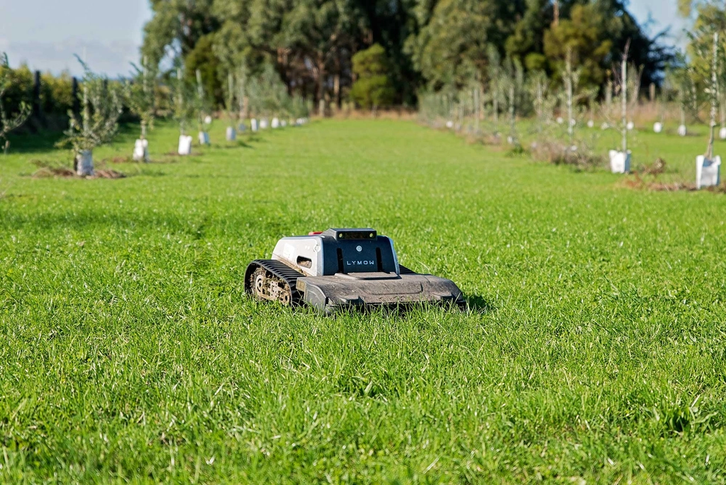 Robot lawn mower trimming grass in a neatly planted orchard, with rows of young trees on either side.