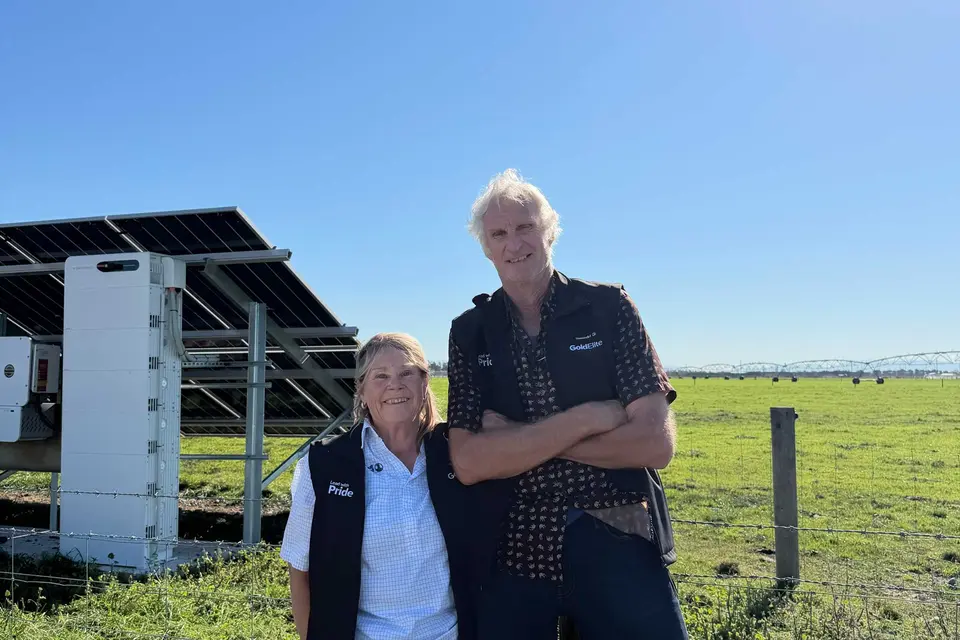 Chris and Pauline Prattley stand smiling in front of solar panels in a sunny field.