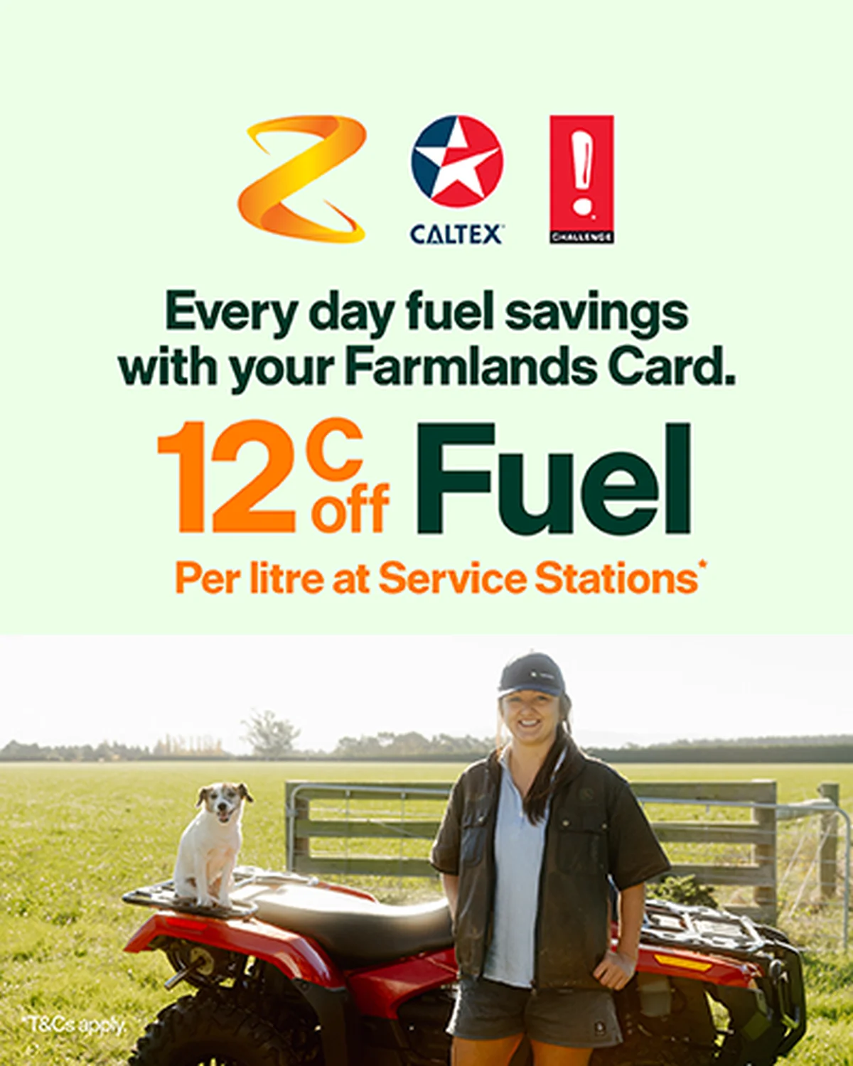 Z Energy