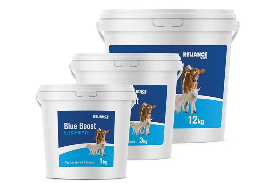 Reliance Blue Boost Electrolyte - 1kg, 3kg and 12kg buckets